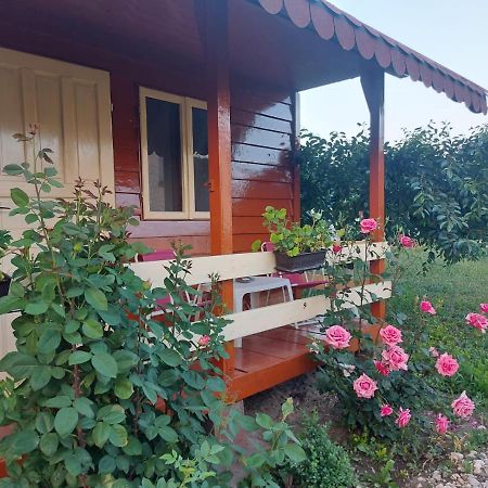 Pensiunea Raluca Mahmudia Exterior photo