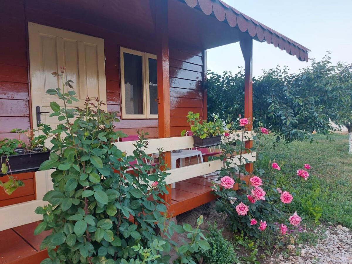 Pensiunea Raluca Mahmudia Exterior photo