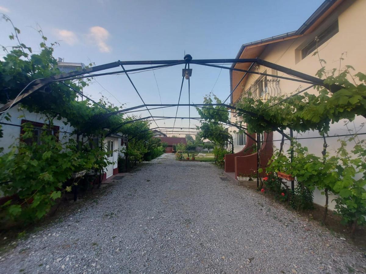 Pensiunea Raluca Mahmudia Exterior photo